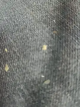 Snapshot of Narckse chatting on September 2025 07:30:01 AM Narckse online show from September 2025 07:30:01 AM