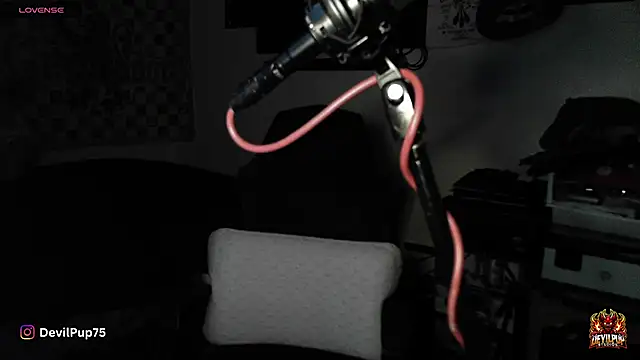 DevilPup75  online show from January 2026 02:59:02 AM