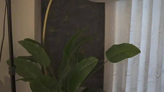 Ariaa Isabell online show from September 2025 06:30:01 PM