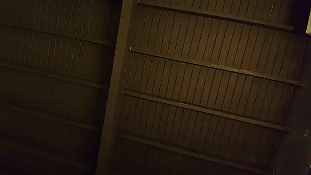 Snapshot of lilyth_bloom chatting on December 2025 12:42:02 PM lilyth bloom online show from December 2025 12:42:02 PM