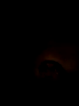 ShawnandDani7074 online show from February 2026 03:21:02 AM