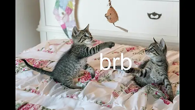 Snapshot of Pink_girl0n chatting on September 2025 02:42:01 PM Pink girl0n online show from September 2025 02:42:01 PM