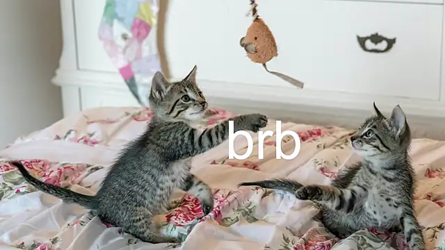 Snapshot of Pink_girl0n chatting on November 2025 07:08:02 PM Pink girl0n online show from November 2025 07:08:02 PM