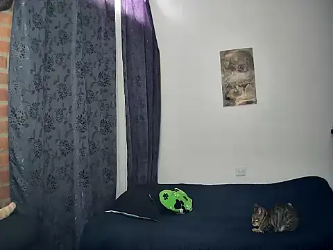 Snapshot of juantalents chatting on October 2025 02:39:02 PM juantalents online show from October 2025 02:39:02 PM