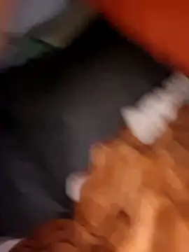 Ramon42aleman online show from October 2025 10:32:02 PM