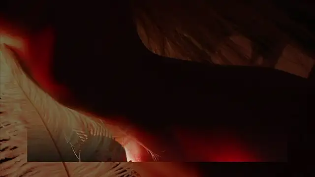 Alvuwkaa online show from December 2025 08:08:02 AM