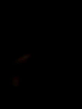 Snapshot of SofieLove_01 chatting on December 2025 07:35:01 AM SofieLove 01 online show from December 2025 07:35:01 AM