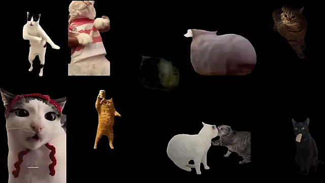 ch0wn m online show from September 2025 10:38:02 AM