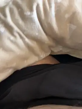 K13XXXX online show from February 2026 10:49:02 AM