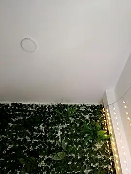 RosseCollins online show from November 2025 12:20:02 AM