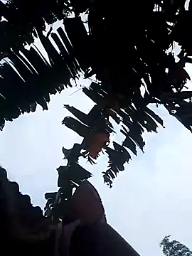 optra34 online show from October 2025 11:37:01 PM