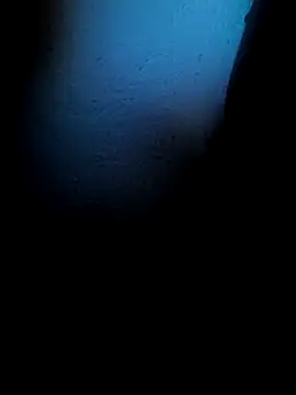 Snapshot of Mancho2289 chatting on April 2026 04:40:01 AM Mancho2289 online show from April 2026 04:40:01 AM