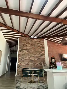 Tokio Tokio online show from December 2024 09:20:01 PM