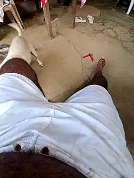 Negodabenga online show from July 2026 12:09:01 PM