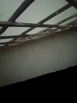 Daisygirl9 online show from October 2025 09:36:02 PM