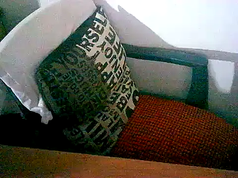 Snapshot of sacptjock83 chatting on December 2025 08:59:01 PM sacptjock83 online show from December 2025 08:59:01 PM