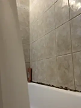 1mistaGoodWood online show from November 2025 01:26:02 PM