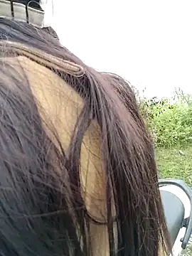 asian 2k online show from November 2025 01:16:02 AM