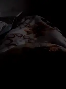 Snapshot of ratoncito_3 chatting on January 2026 12:38:01 AM ratoncito 3 online show from January 2026 12:38:01 AM