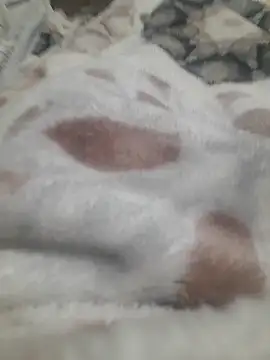 Snapshot of ratoncito_3 chatting on January 2026 05:50:01 PM ratoncito 3 online show from January 2026 05:50:01 PM