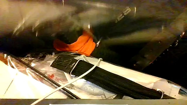 BBCGottii online show from March 2026 05:33:02 AM