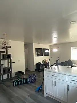 blazeyblake online show from February 2026 04:32:01 PM