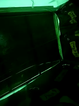 Snapshot of Fireworko chatting on April 2026 03:09:01 PM Fireworko online show from April 2026 03:09:01 PM