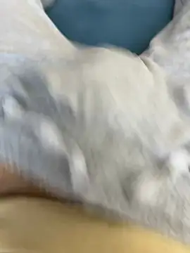 Frankieyyy1 online show from March 2026 07:58:02 AM