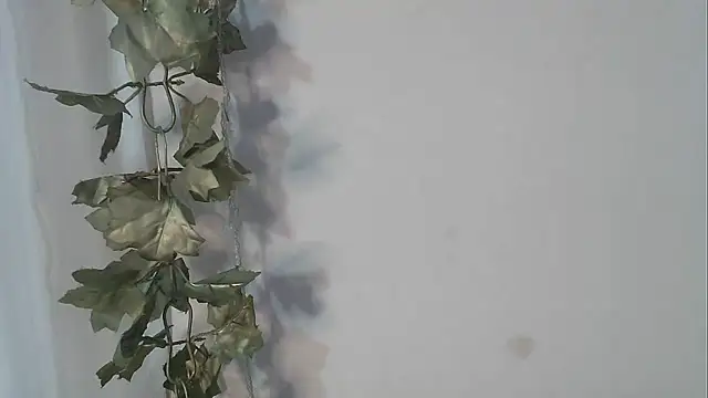 angelainparis28 online show from October 2025 04:55:02 AM