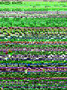 Snapshot of lynn9000 chatting on November 2025 05:18:01 AM lynn9000 online show from November 2025 05:18:01 AM