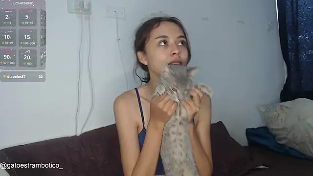 brisazanes online show from January 2026 05:59:01 PM