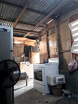 Steehood online show from November 2025 02:50:02 PM