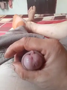 Brongiep online show from September 2025 03:50:02 AM