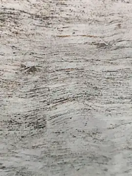 hot plak online show from November 2025 05:17:01 PM