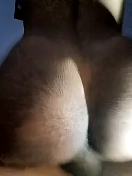 casualdotado online show from April 2026 03:12:01 AM