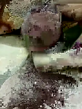 Zepe 12 online show from March 2026 08:12:01 PM