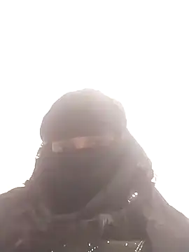 amolicars online show from November 2025 02:28:02 PM