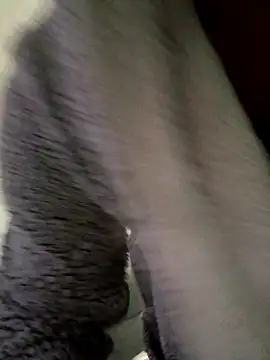 cameron334 online show from November 2025 01:29:01 AM