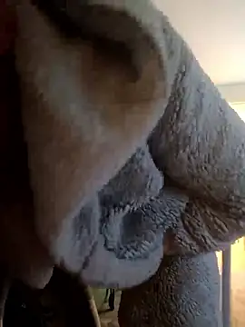 cameron334 online show from January 2026 12:10:02 PM