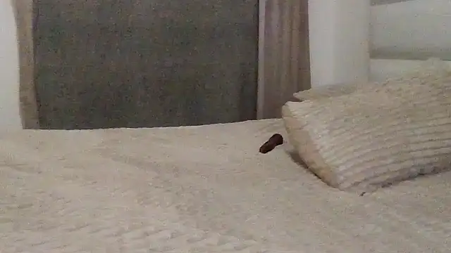 SexyNonnyy online show from October 2025 06:40:02 PM