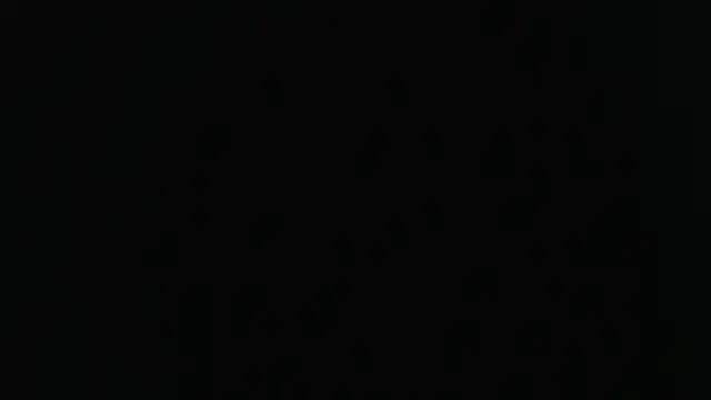 sensualduo online show from February 2025 05:35:01 AM