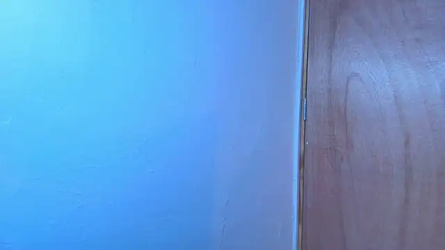 Terraelowen online show from February 2026 11:19:01 AM