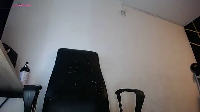 Snapshot of LickMyInk chatting on February 2026 12:09:02 AM LickMyInk online show from February 2026 12:09:02 AM