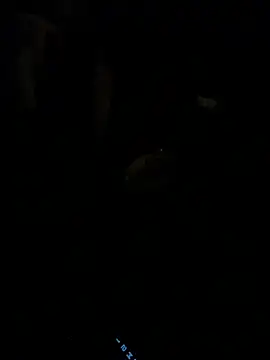 HorneyCowboy154 online show from February 2026 04:11:01 AM