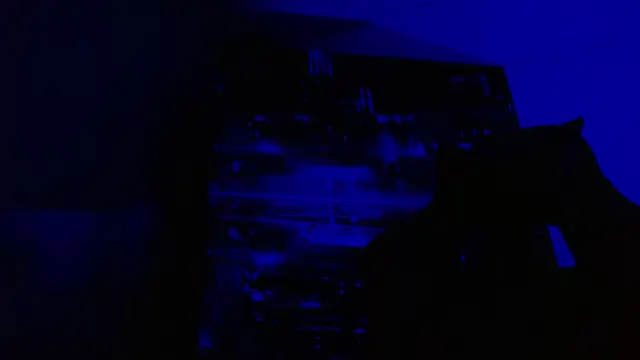 alexgiraldo   online show from May 2026 06:49:01 PM
