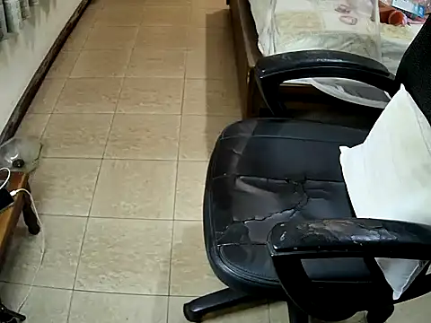 sissypamsissy online show from February 2026 12:19:01 PM