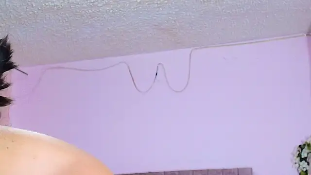 Snapshot of MiSofialeal chatting on February 2026 05:50:01 PM MiSofialeal online show from February 2026 05:50:01 PM