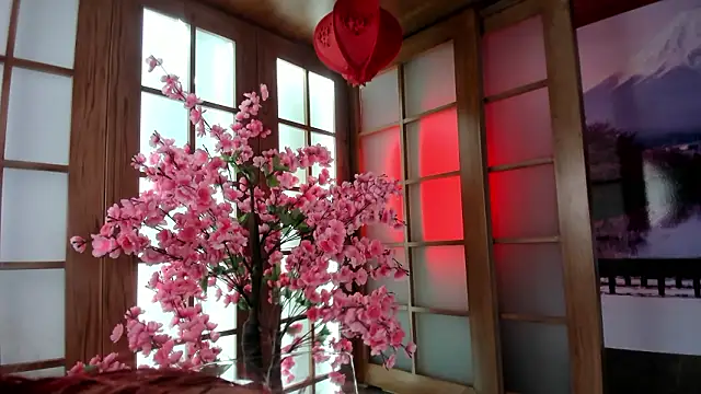 miss   abigail online show from February 2026 02:04:01 AM