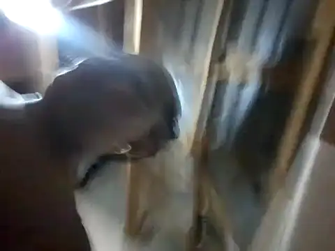 Snapshot of BigAssjuicy26 chatting on October 2025 10:14:02 PM BigAssjuicy26 online show from October 2025 10:14:02 PM