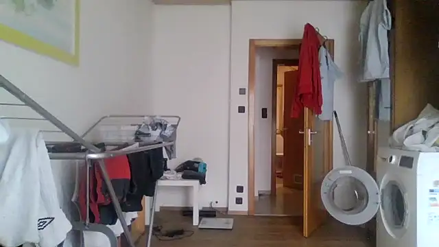 XLBarehengst online show from February 2026 10:44:02 AM